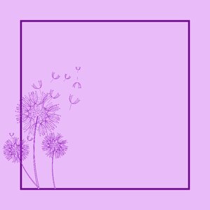 Card purple background