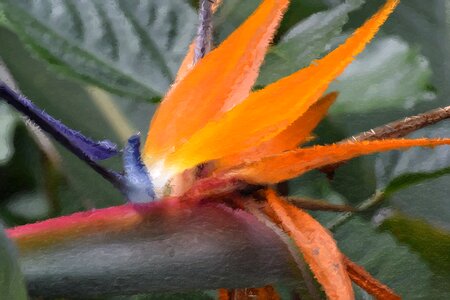 Plant nature bright