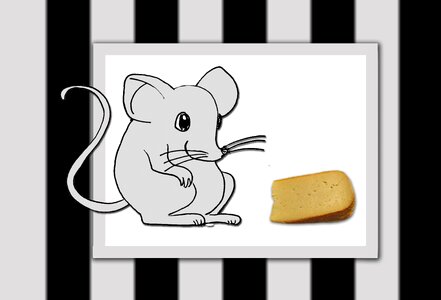 Animal world field mouse cheese