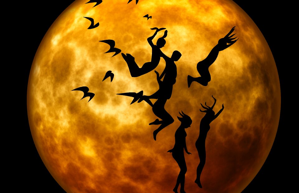 Gymnastics jump birds