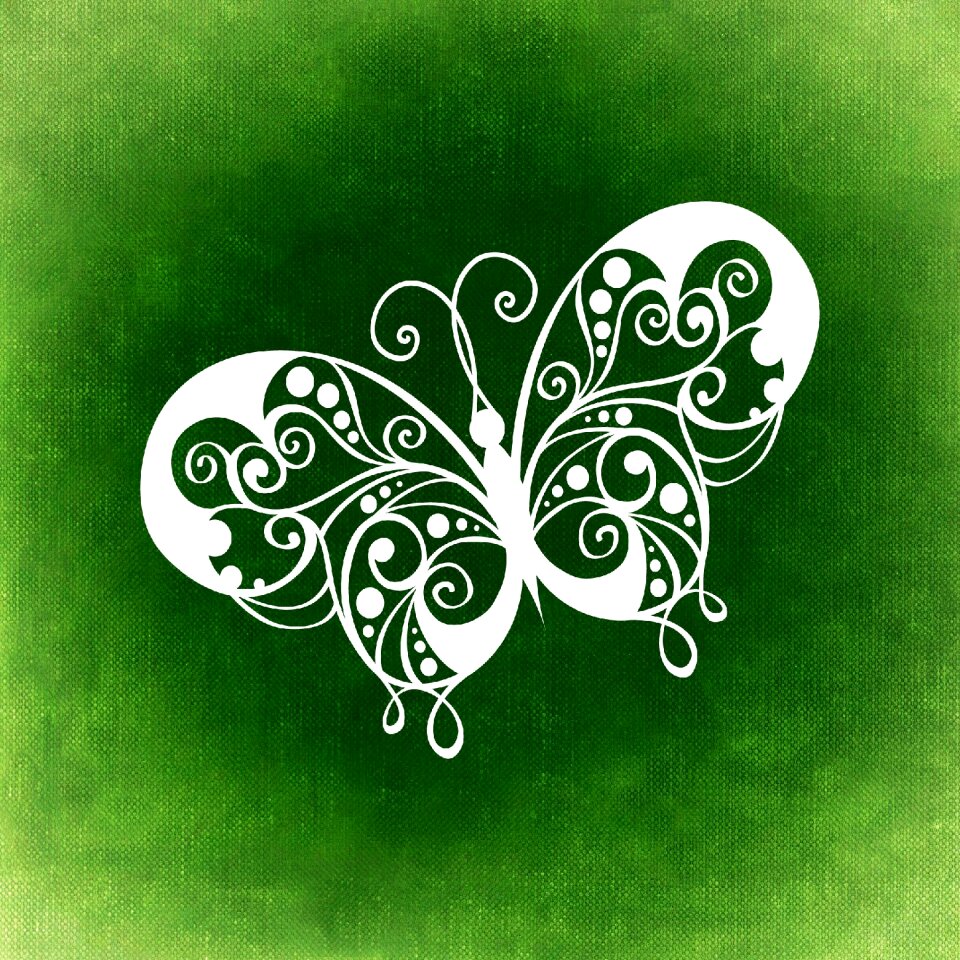 Insect abstract Free illustrations