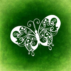 Insect abstract Free illustrations