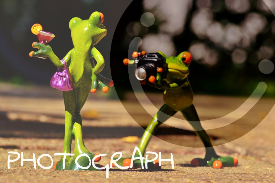 Photo model lady posing