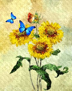 Decoration decorative decor