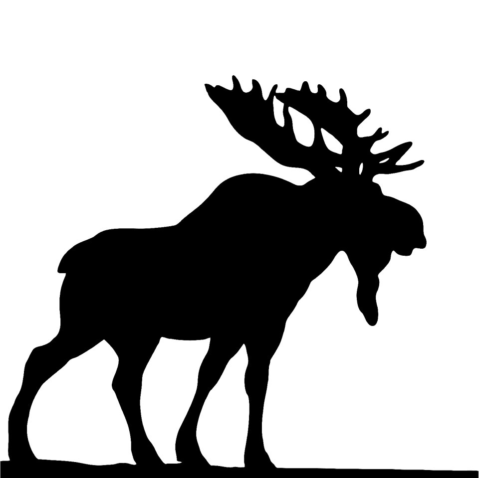 Wild animal deer