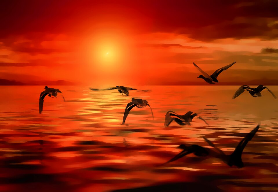 Sea sky nature