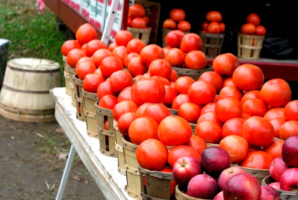 Apples healthy produce