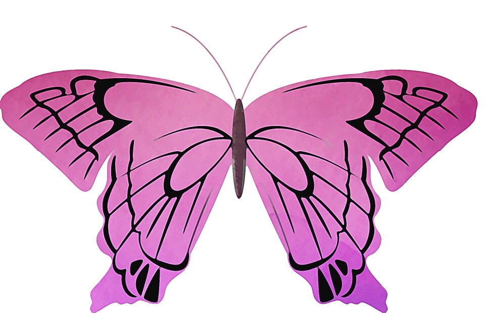 Watercolor spring wing