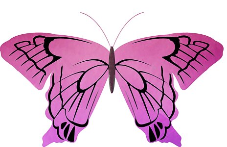 Watercolor spring wing