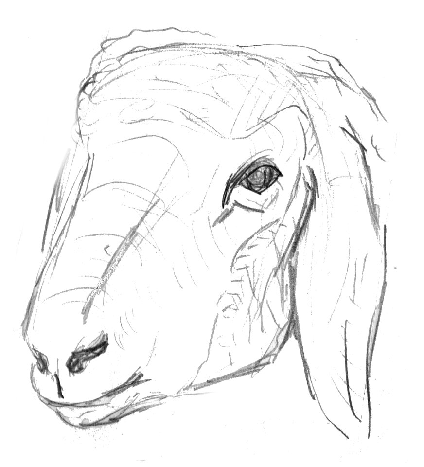 Livestock pet farm