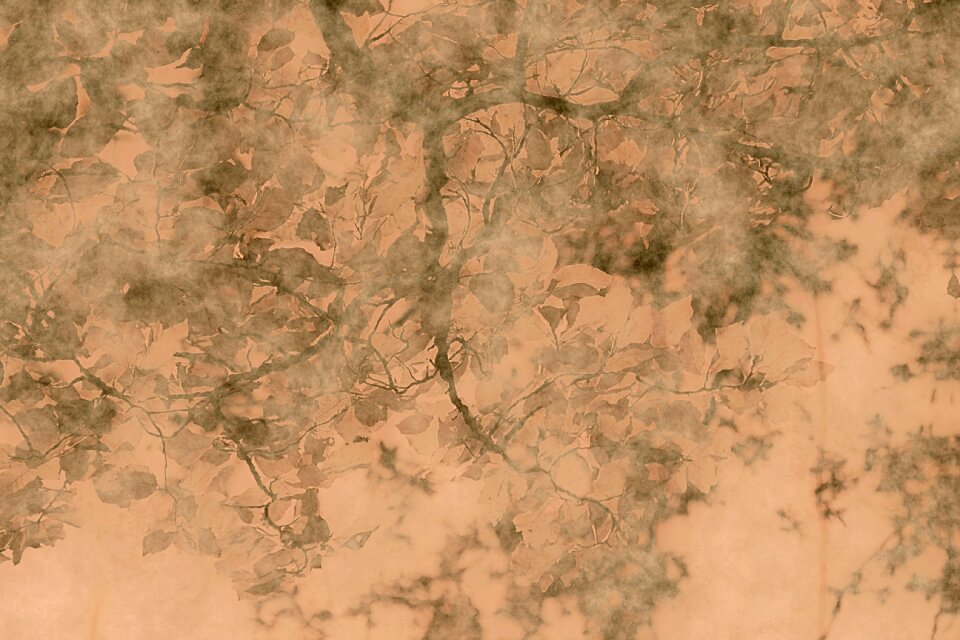 Tree pattern dirty