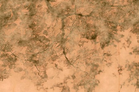 Tree pattern dirty