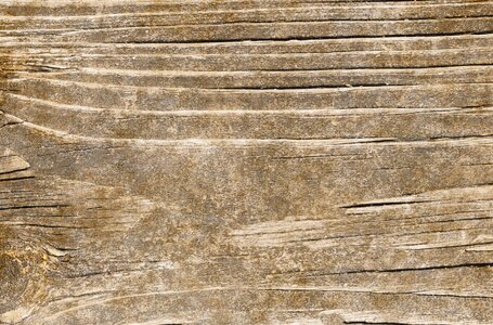 Pattern texture template