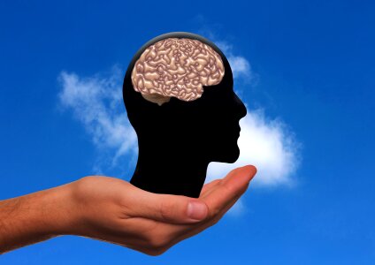 Brain imitation silhouette