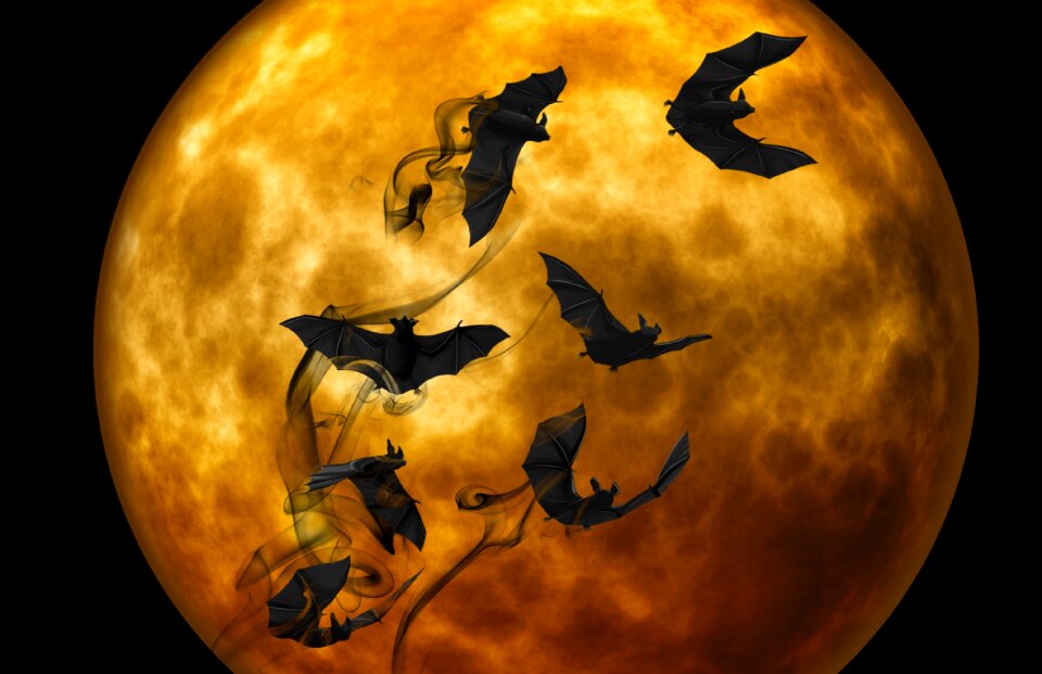 Darkness mystical gloomy