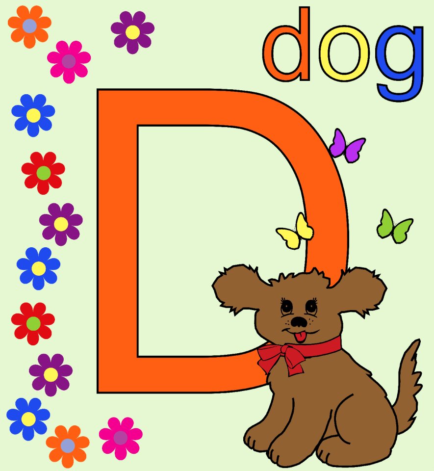 Alphabet d letter alphabet