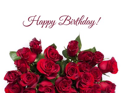 Red rose bouquet congrats