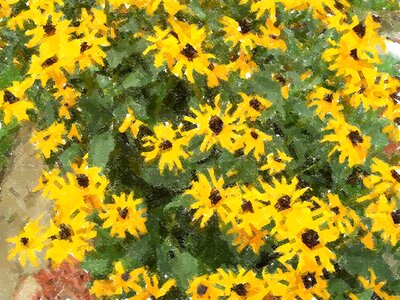 Flowers floral blossom