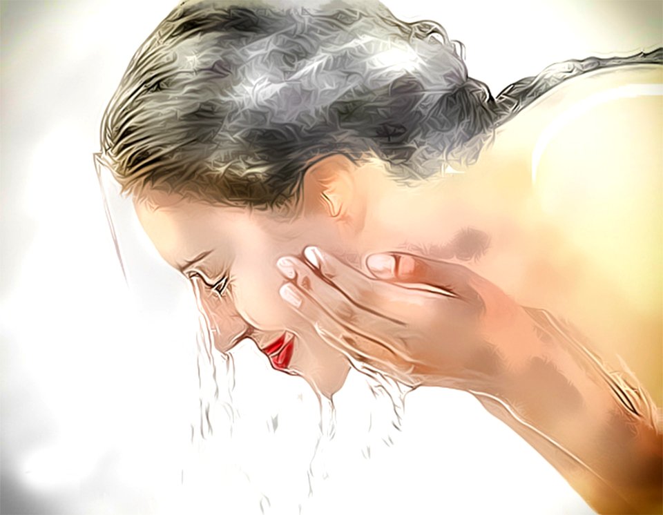 Ca le Free illustrations
