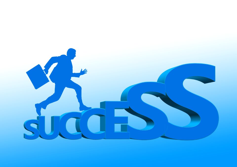 Career ladder silhouette rise