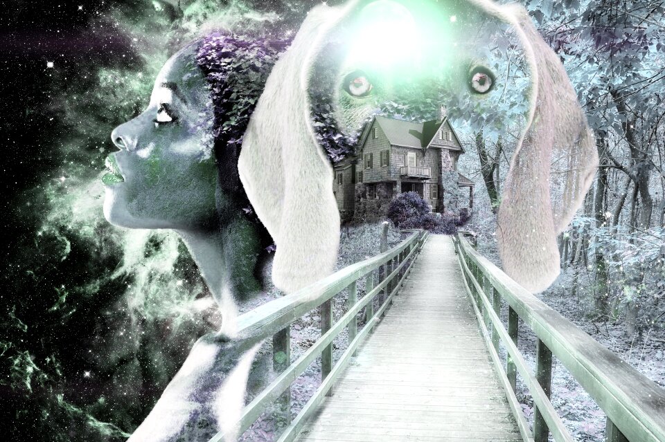Woman dog bridge