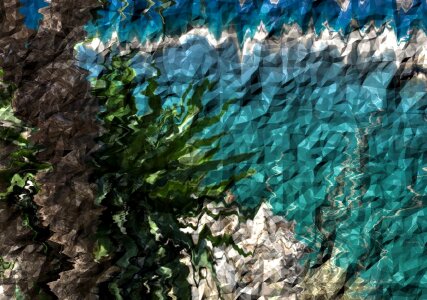 Abstract design natural