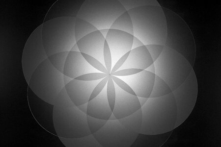 Form floral design Free illustrations