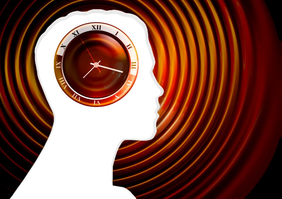 Time head structure