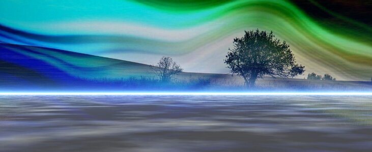 Foliage peace atmosphere