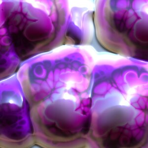 Science natural biology