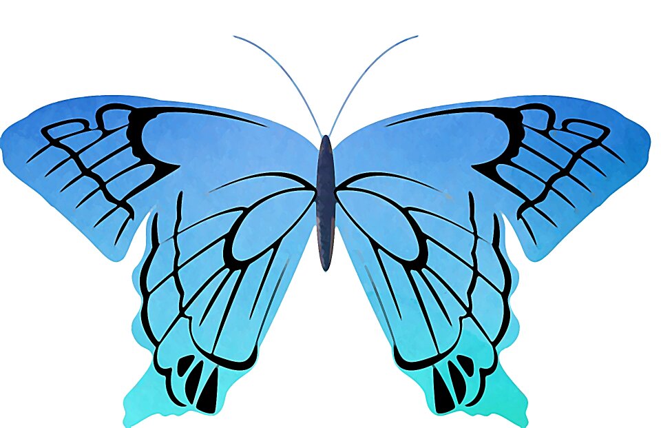 Watercolor spring wing
