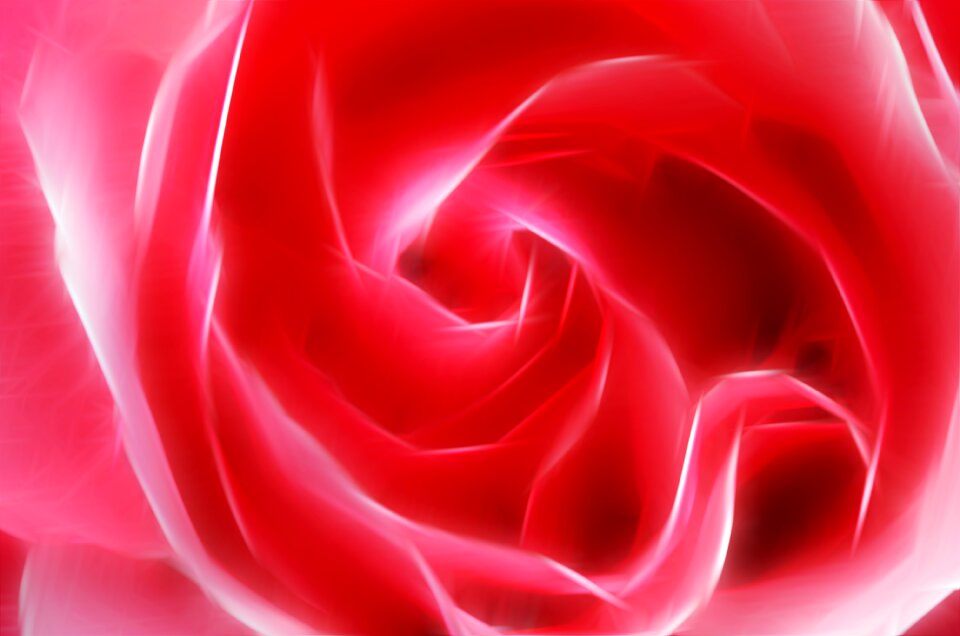 Pink red Free illustrations