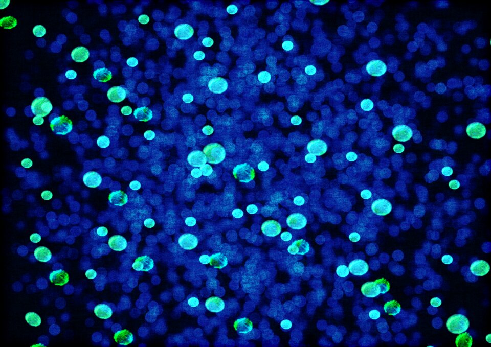 Pathogen germs clinic