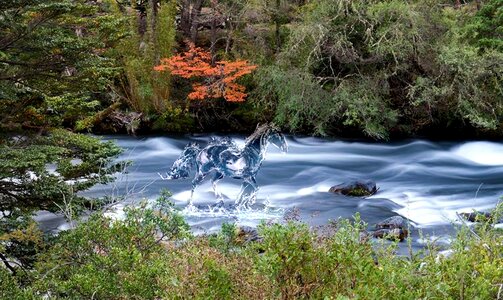Forests river Free illustrations