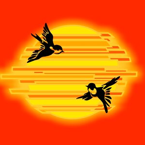 Fragment background image orange