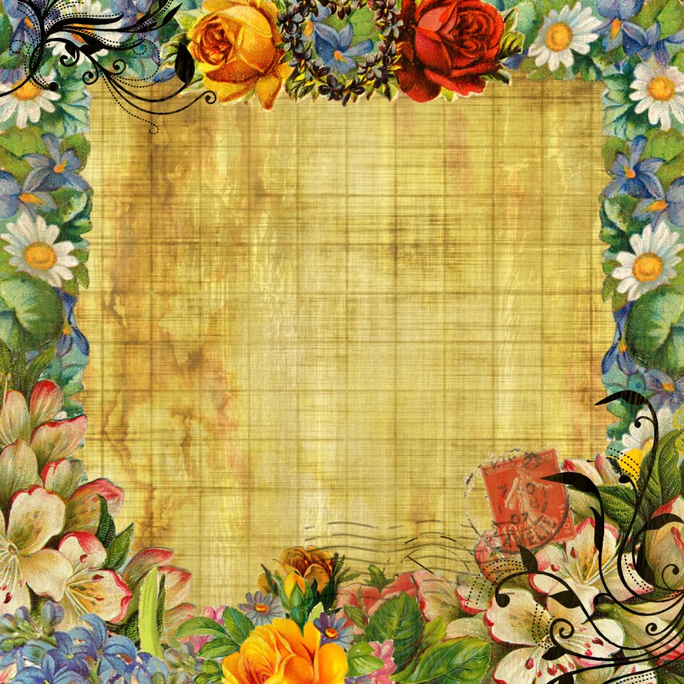 Design parchment paper