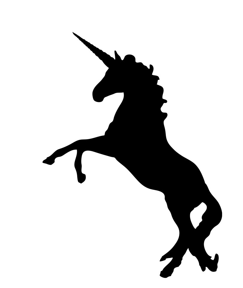 Fantasy mythology stallion