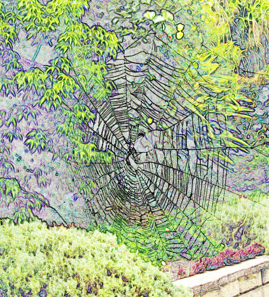 Pattern cobweb Free illustrations