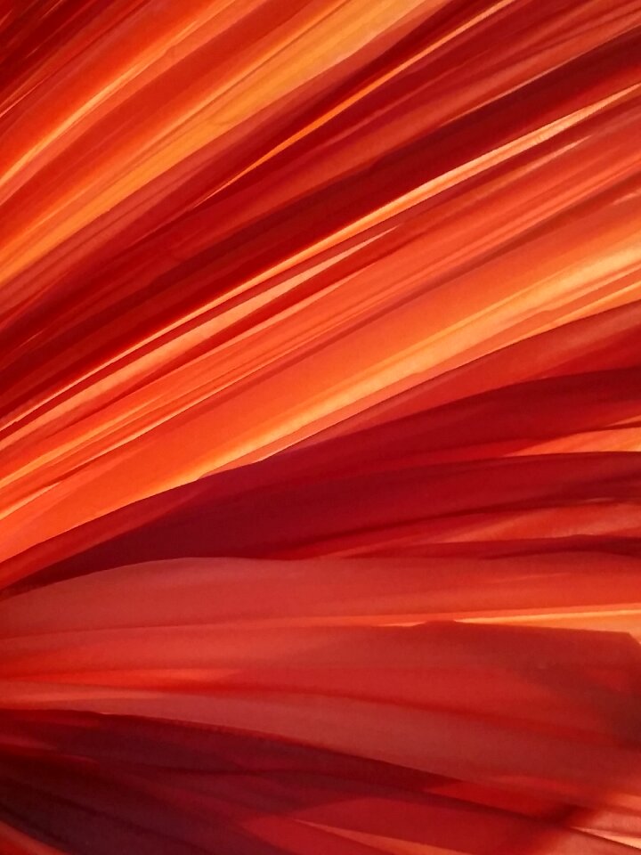 Background red background Free illustrations