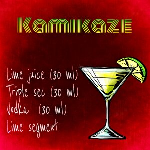 Alcohol recipe party