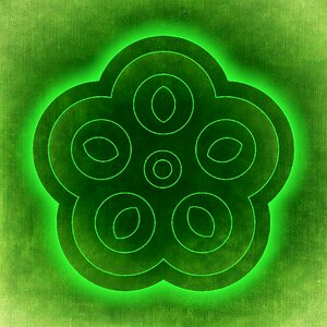 Flora pattern fractals