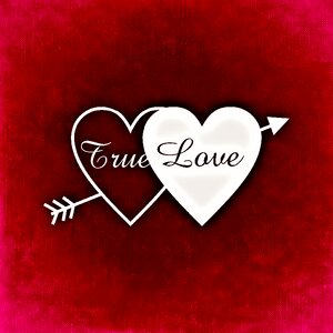 Romance valentine affection