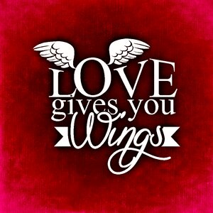 Wing valentine affection