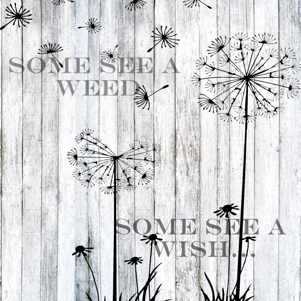 Saying quote Free illustrations