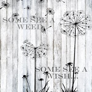 Saying quote Free illustrations