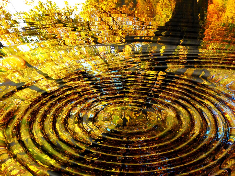 Mirroring water summer