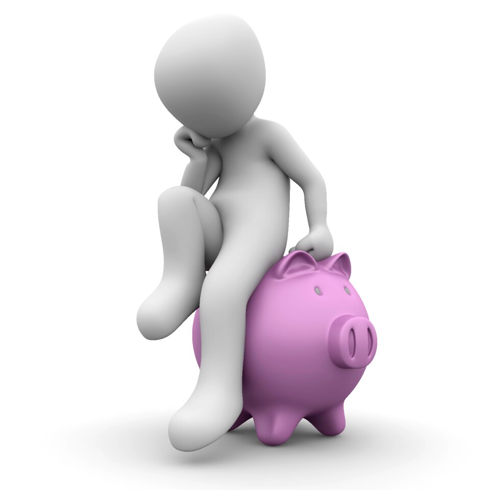 Piglet economical save money