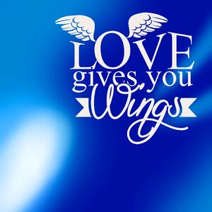 Wing valentine affection