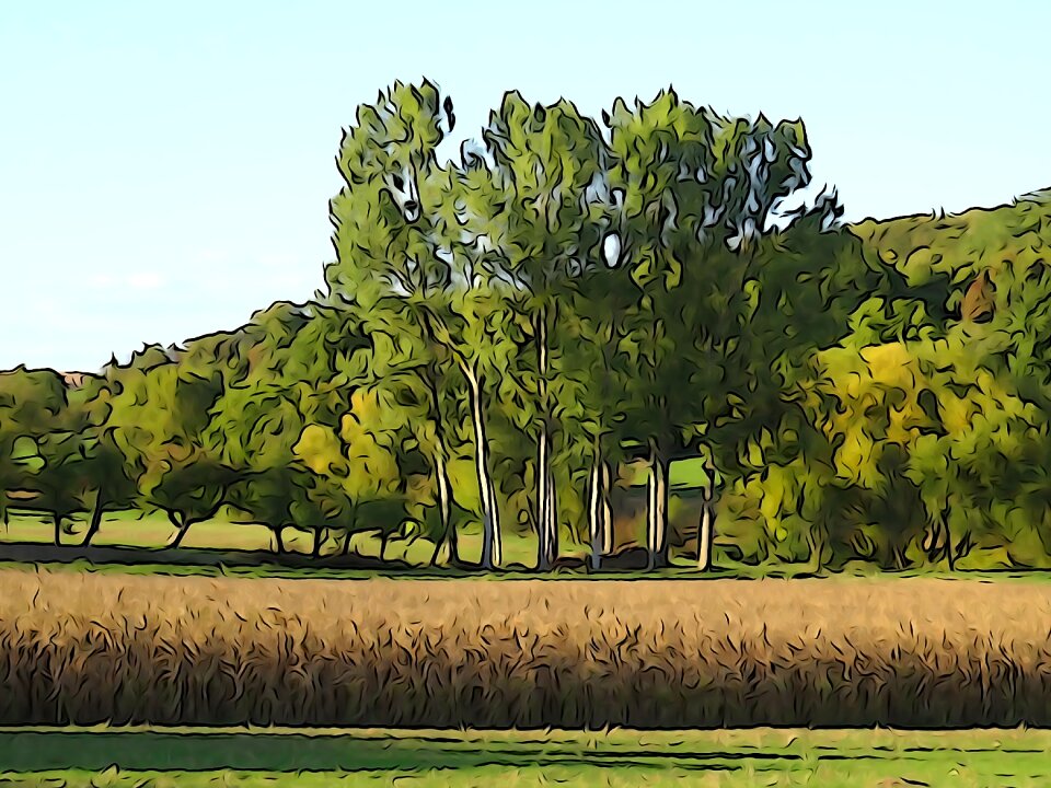 Fields paint effect france