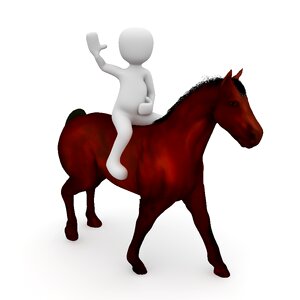 Equestrian animal horsewoman